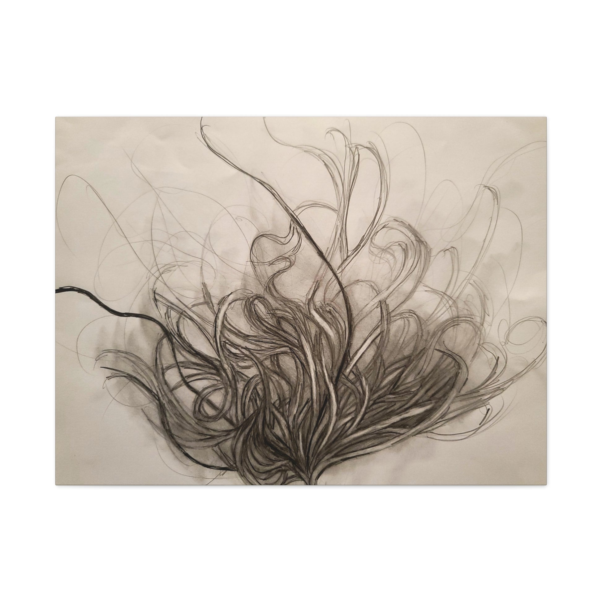 Canvas Art Print - Nature Drawing by Lisa Jennings