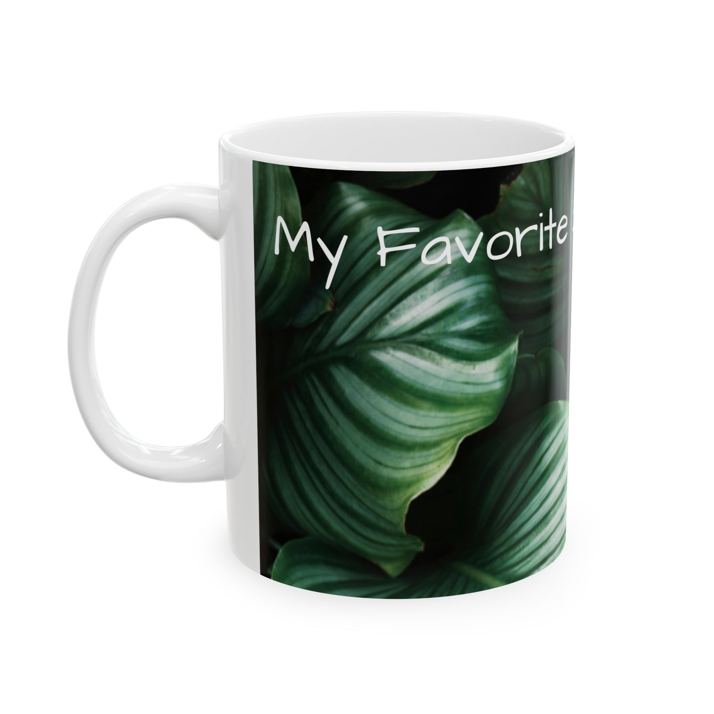 Favorite Science Teacher Coffee Mug (11oz, 15oz)