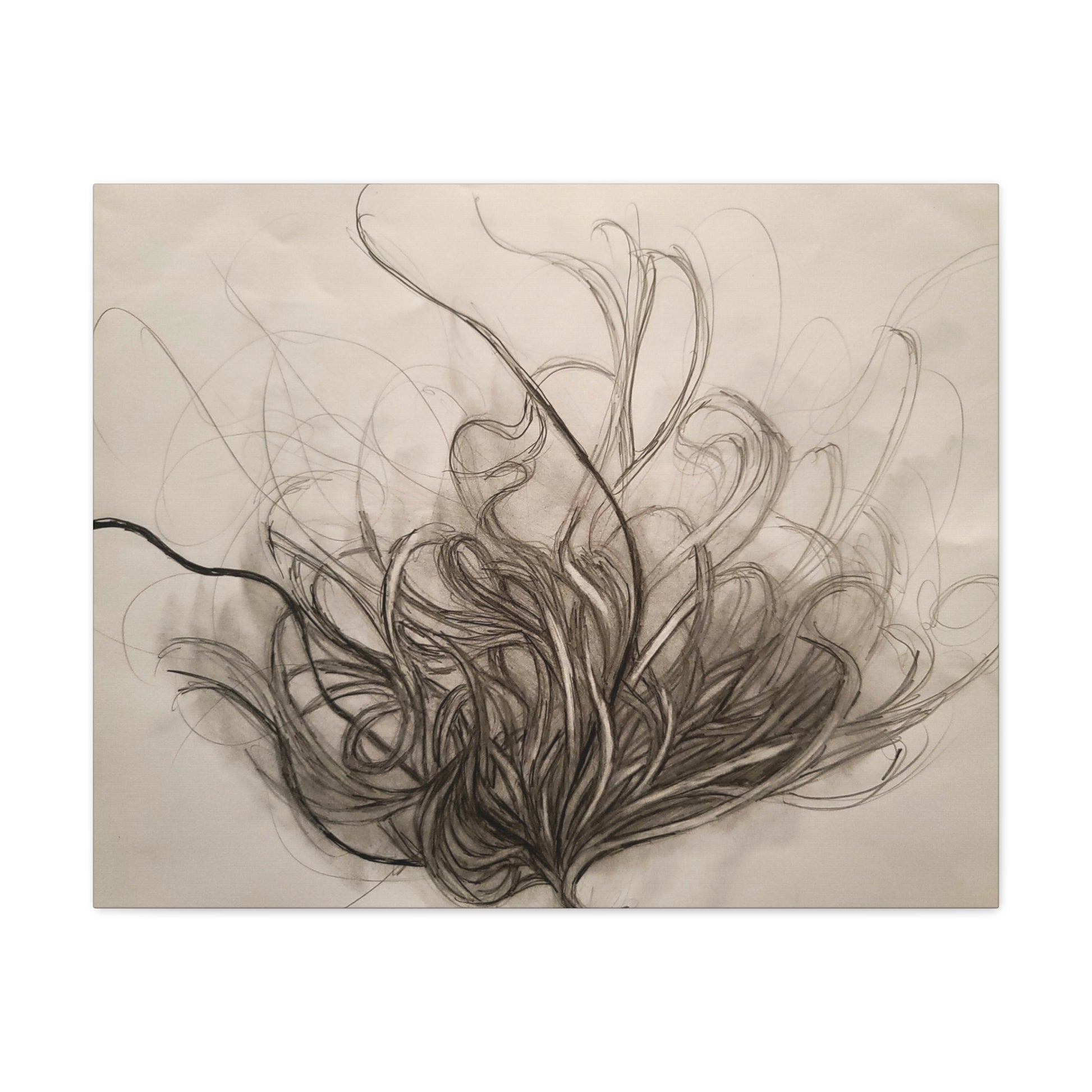 Canvas Art Print - Nature Drawing by Lisa Jennings
