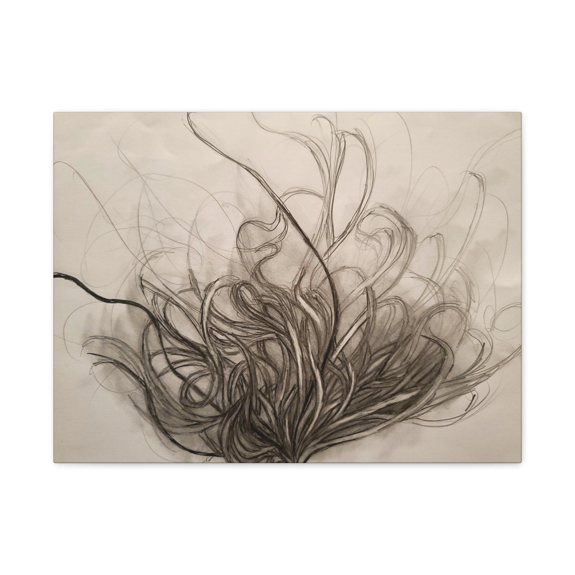 Canvas Art Print - Nature Drawing by Lisa Jennings