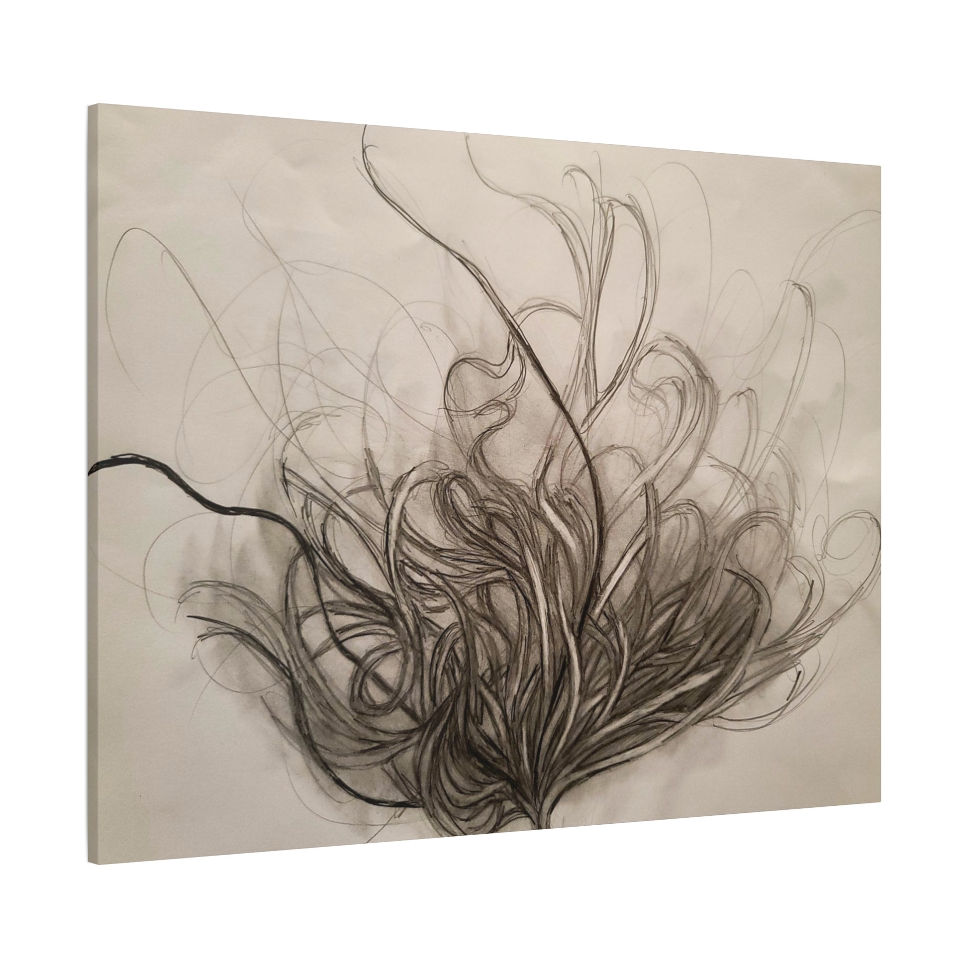 Canvas Art Print - Nature Drawing by Lisa Jennings