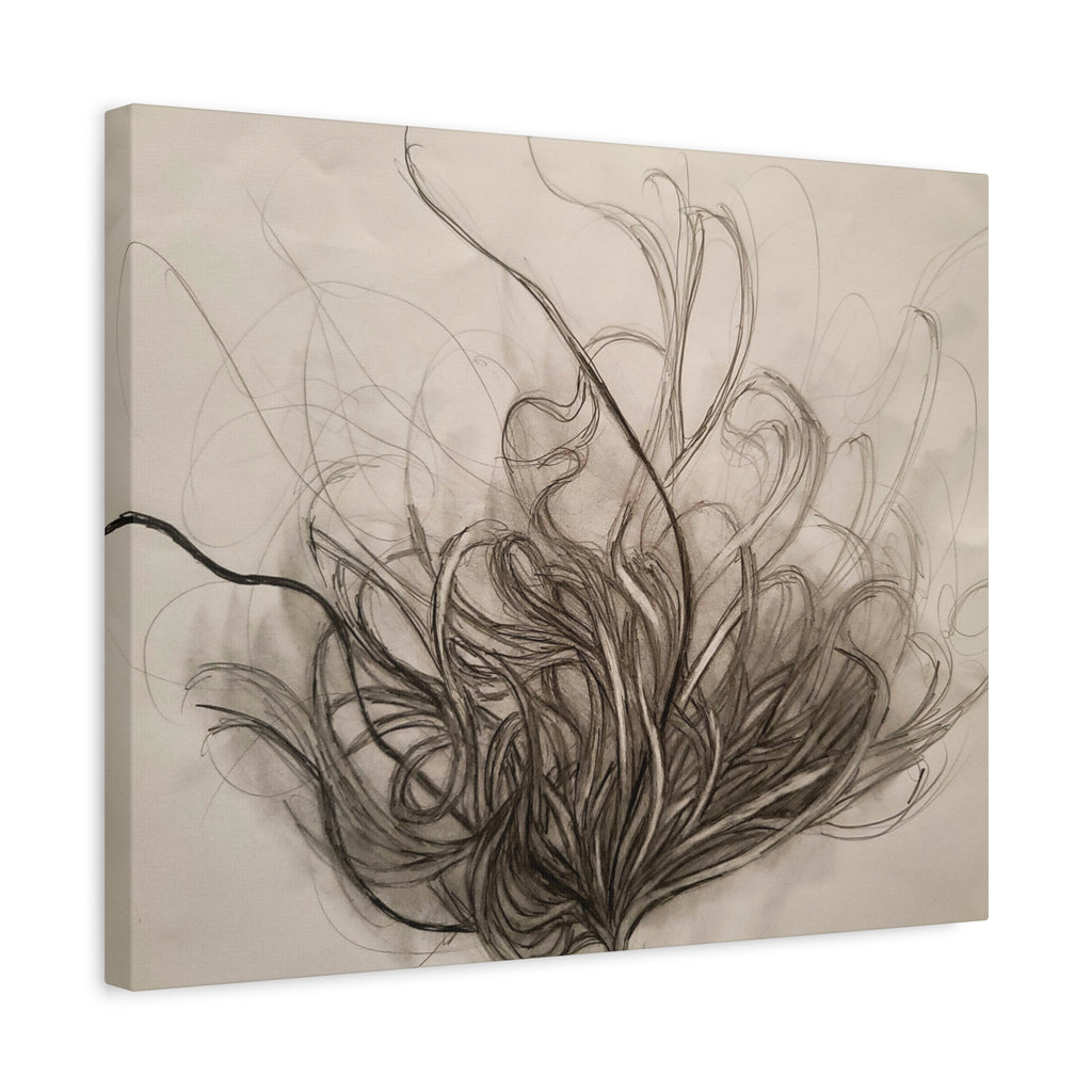 Canvas Art Print - Nature Drawing by Lisa Jennings