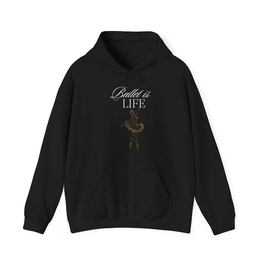 Black Ballet  dancer  love ballet warm Hooded Sweatshirt