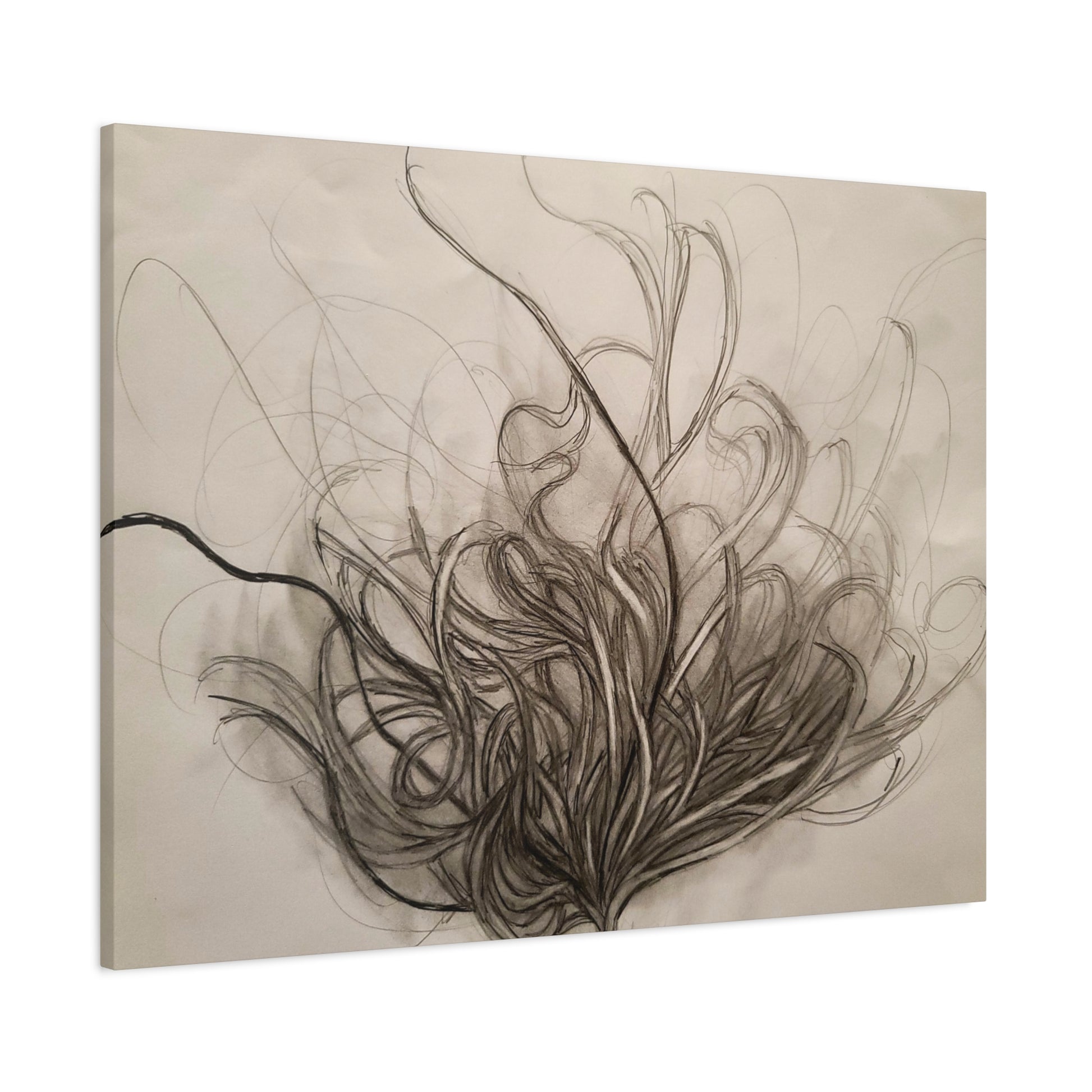 Canvas Art Print - Nature Drawing by Lisa Jennings